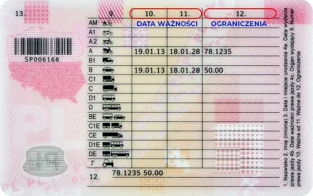 Jak długo jest ważny kurs na prawo jazdy? Kluczowe informacje, które musisz znać