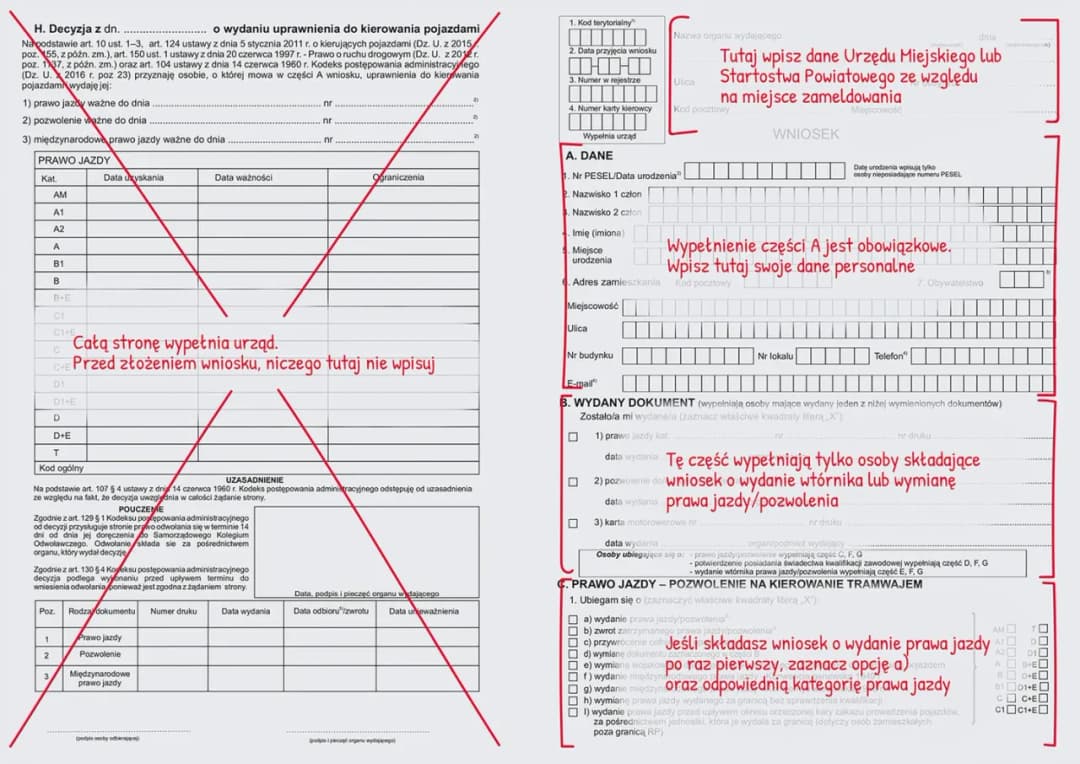 Gdzie jest moje prawo jazdy? Jak szybko znaleźć zgubiony dokument?