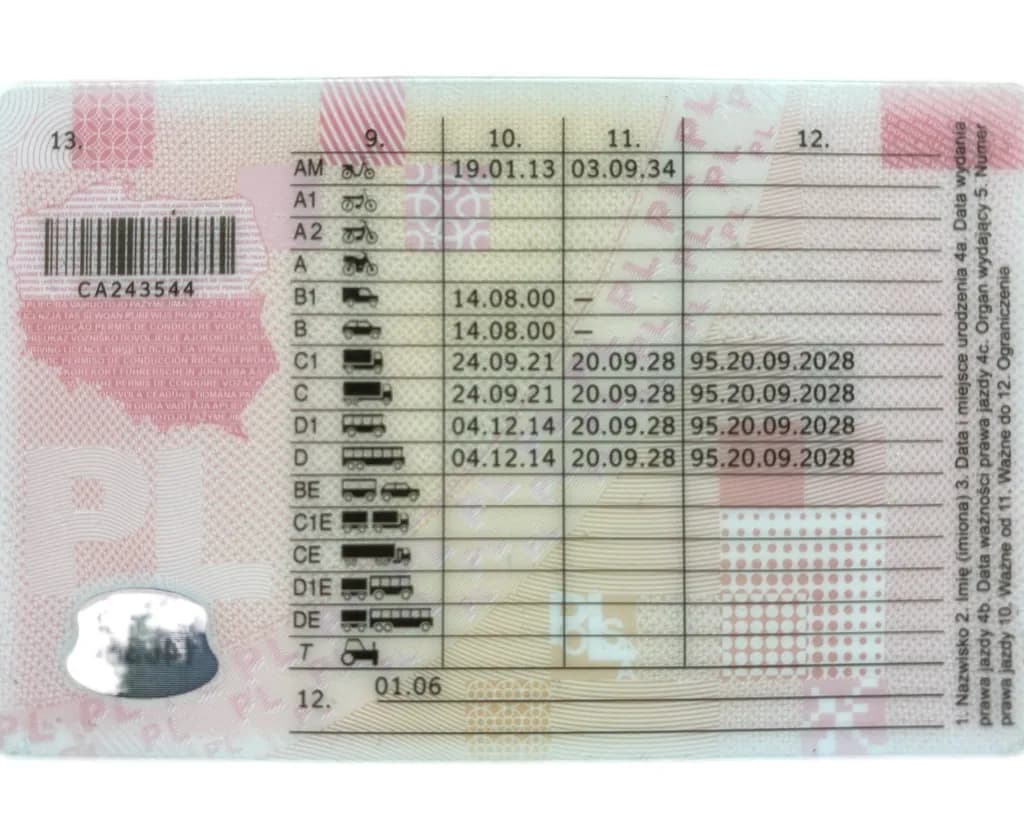 Czy na busa trzeba mieć prawo jazdy? Sprawdź wymagania i kary