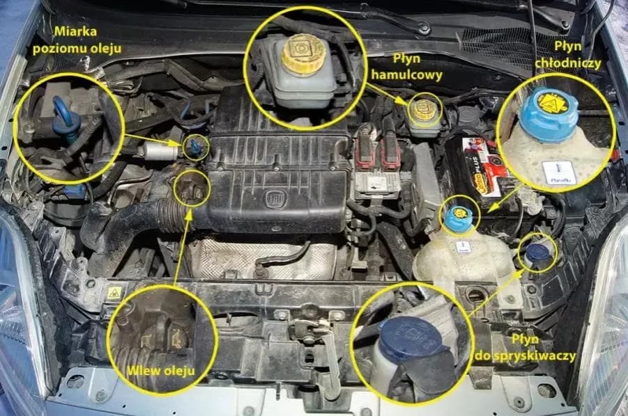 Płyny pod maską: kluczowe ciecze w Twoim samochodzie